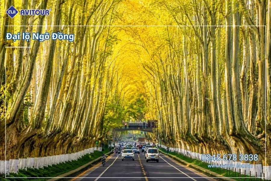 Du Lịch Hoa Đông 2027: Tour Hà Nội - Thượng Hải - Tô Châu - Tây Đường - Nam Kinh (No shopping)