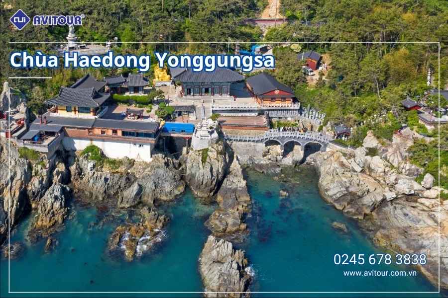 Du lịch Hàn Quốc 2026: Hà Nội – Busan – Seoul – Starfiled – Lotte Worf