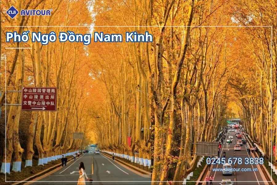 Du Lịch Giang Nam: Thượng Hải - Dương Châu - Nam Kinh - Chi Trang - Thượng Hải ( No Shopping)