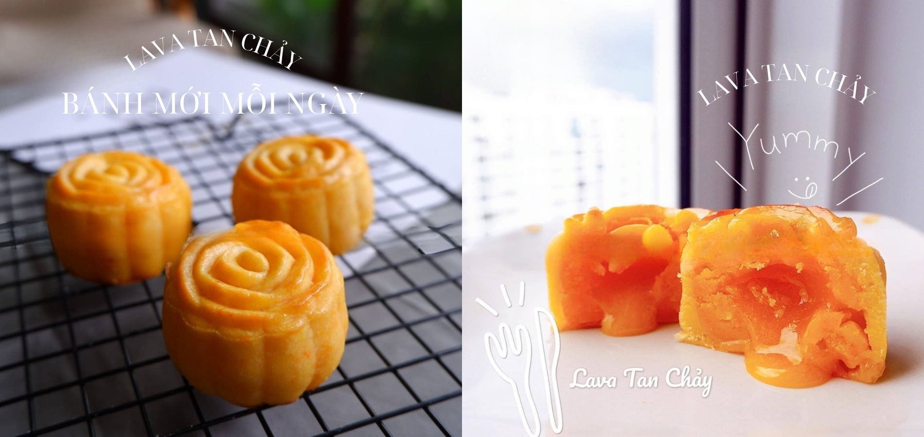 Evo Cake - Bánh tươi mỗi ngày
