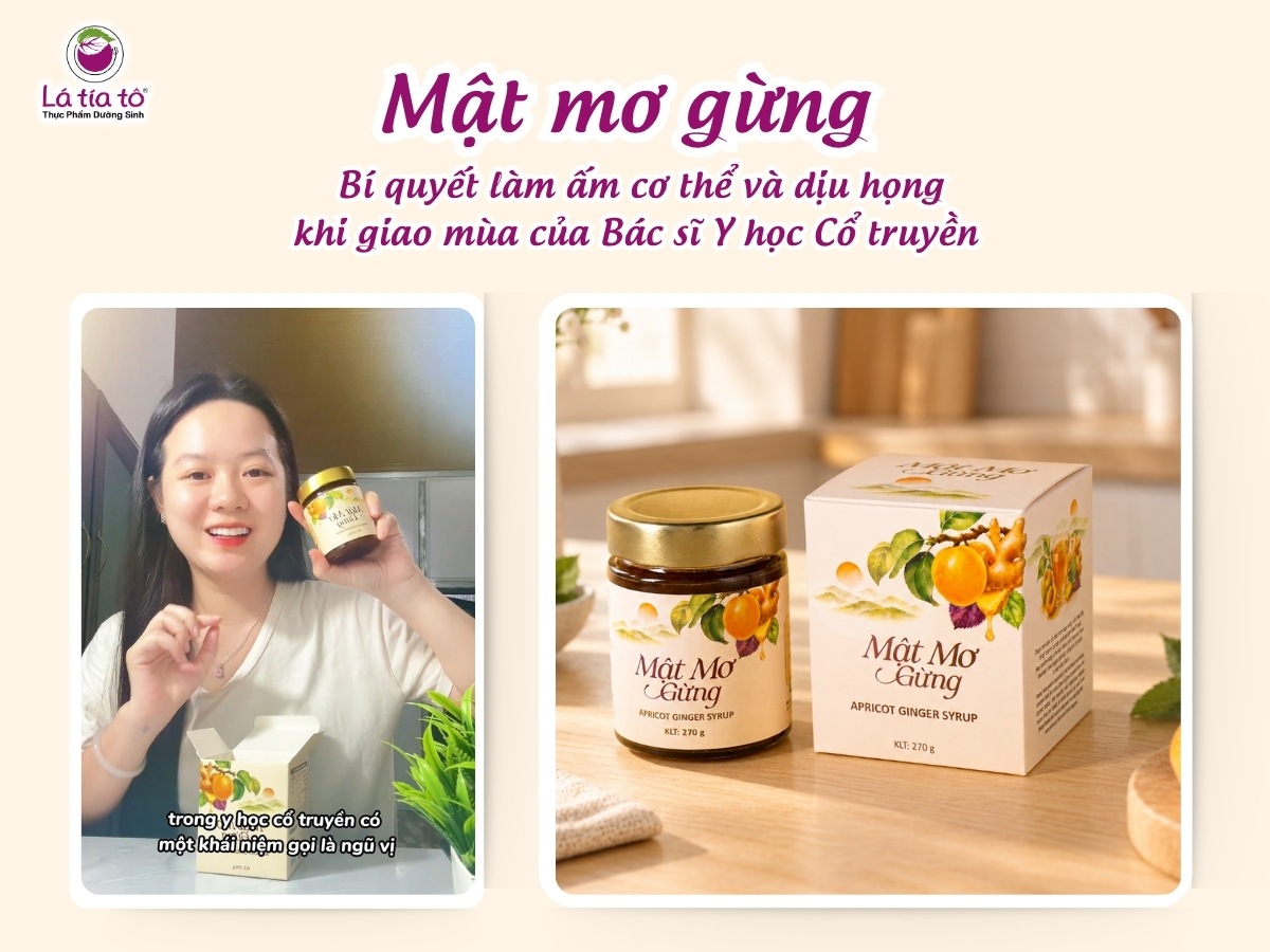 Mật Mơ Gừng: Bí quyết làm ấm cơ thể và dịu họng khi giao mùa của Bác sĩ Y học Cổ truyền