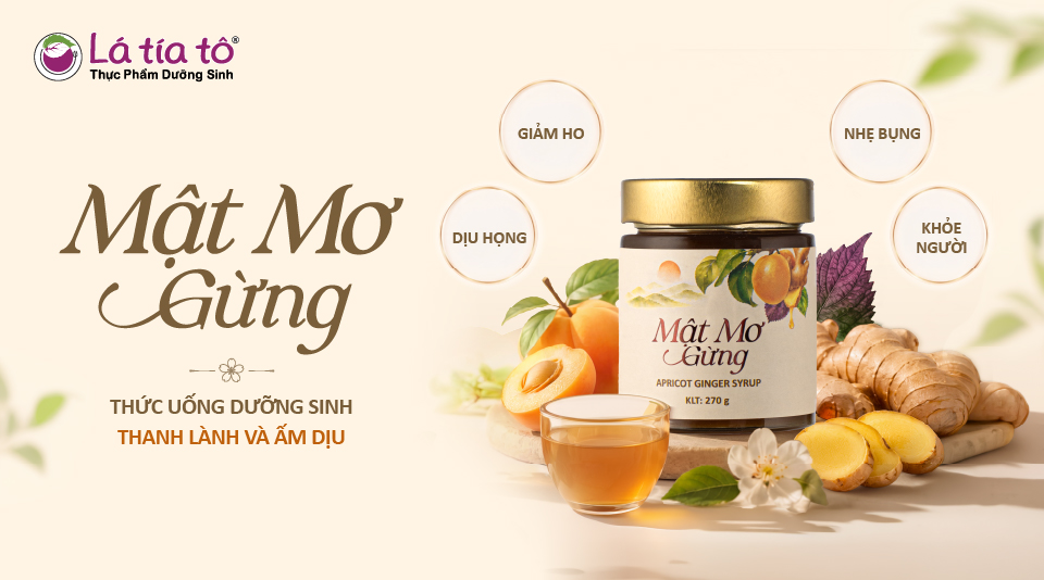 Ra mắt Mật Mơ Gừng - Thức uống dưỡng sinh giúp dịu họng, ấm bụng và khoẻ mỗi ngày