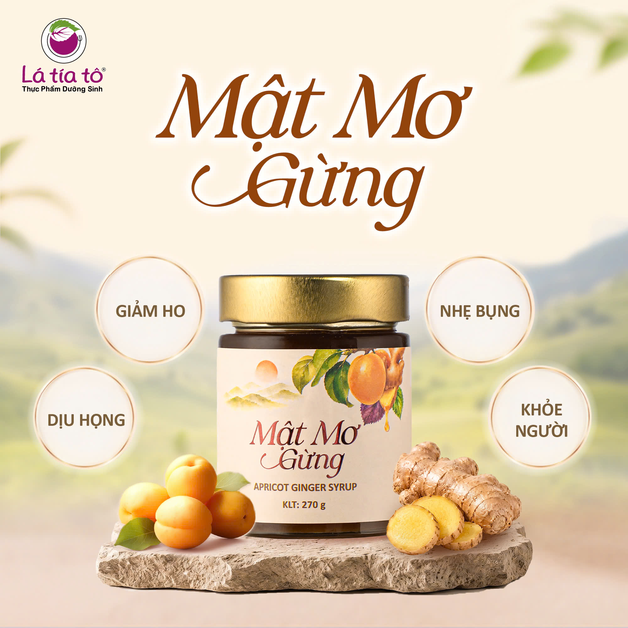 Mật mơ gừng là thức uống dưỡng sinh giúp chăm sóc sức khoẻ cho cả gia đình.