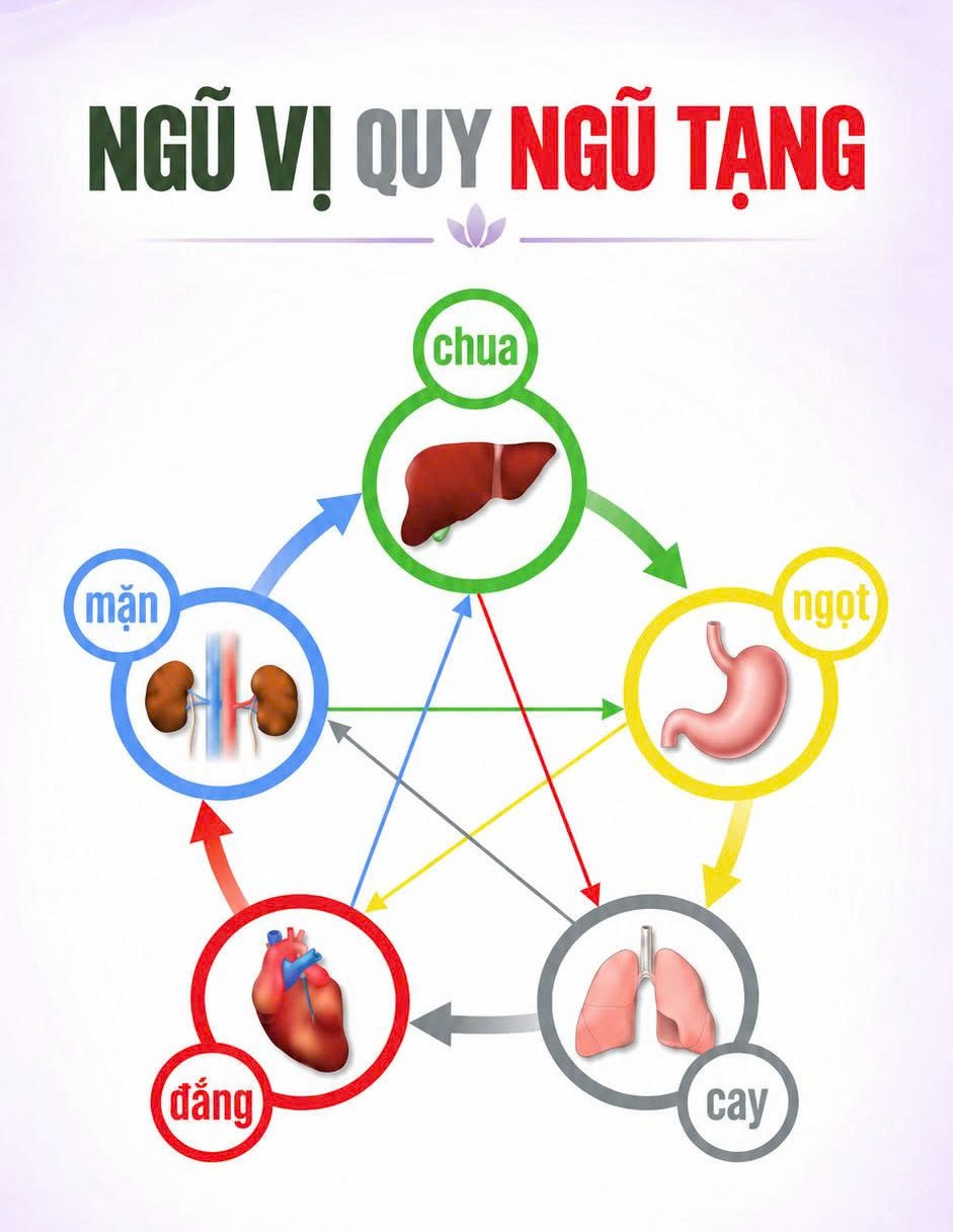 5 vị giúp nuôi dưỡng ngũ tạng.