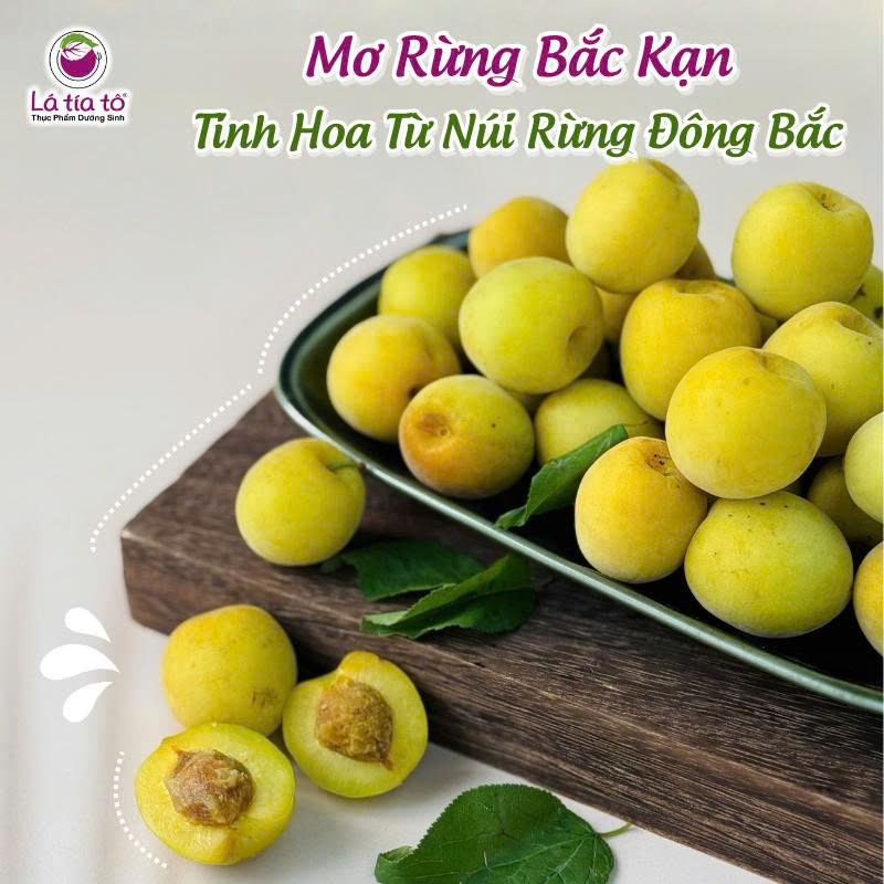 Quả mơ rất giàu vitamin, các khoáng chất thiết yếu, chất xơ và các chất chống oxy hóa mạnh.