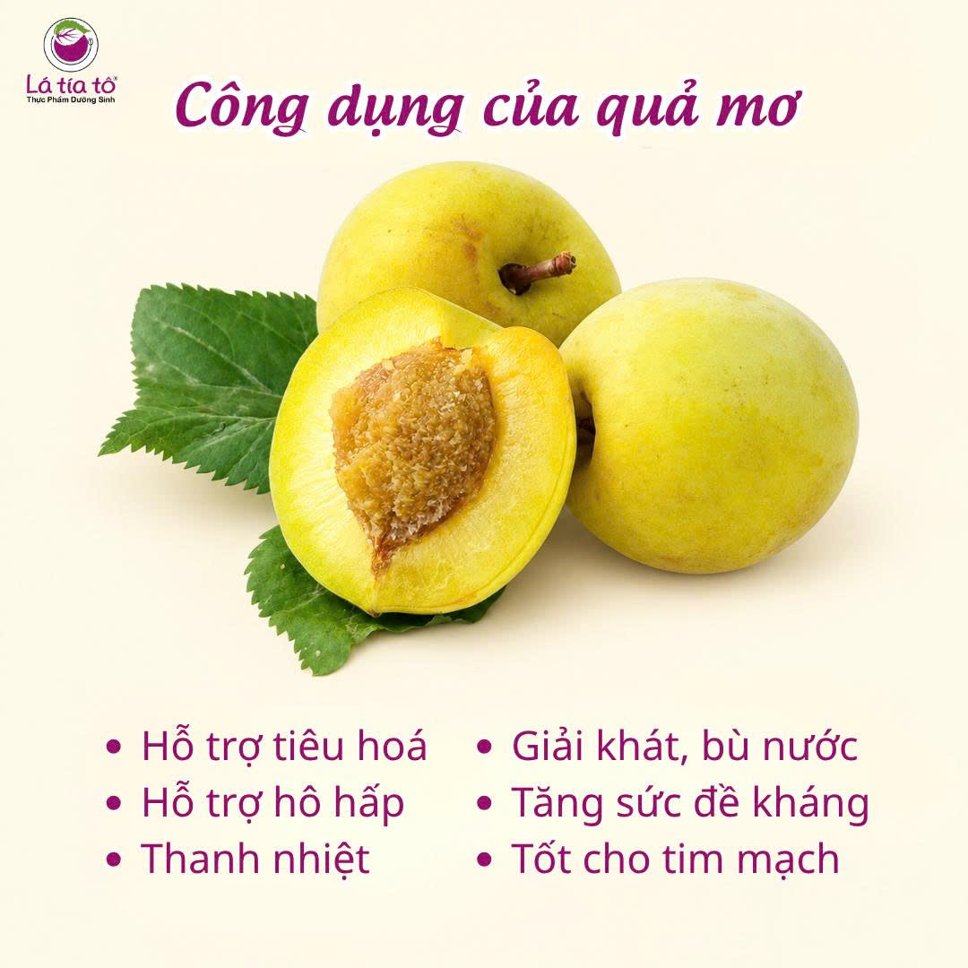 Công dụng của quả mơ