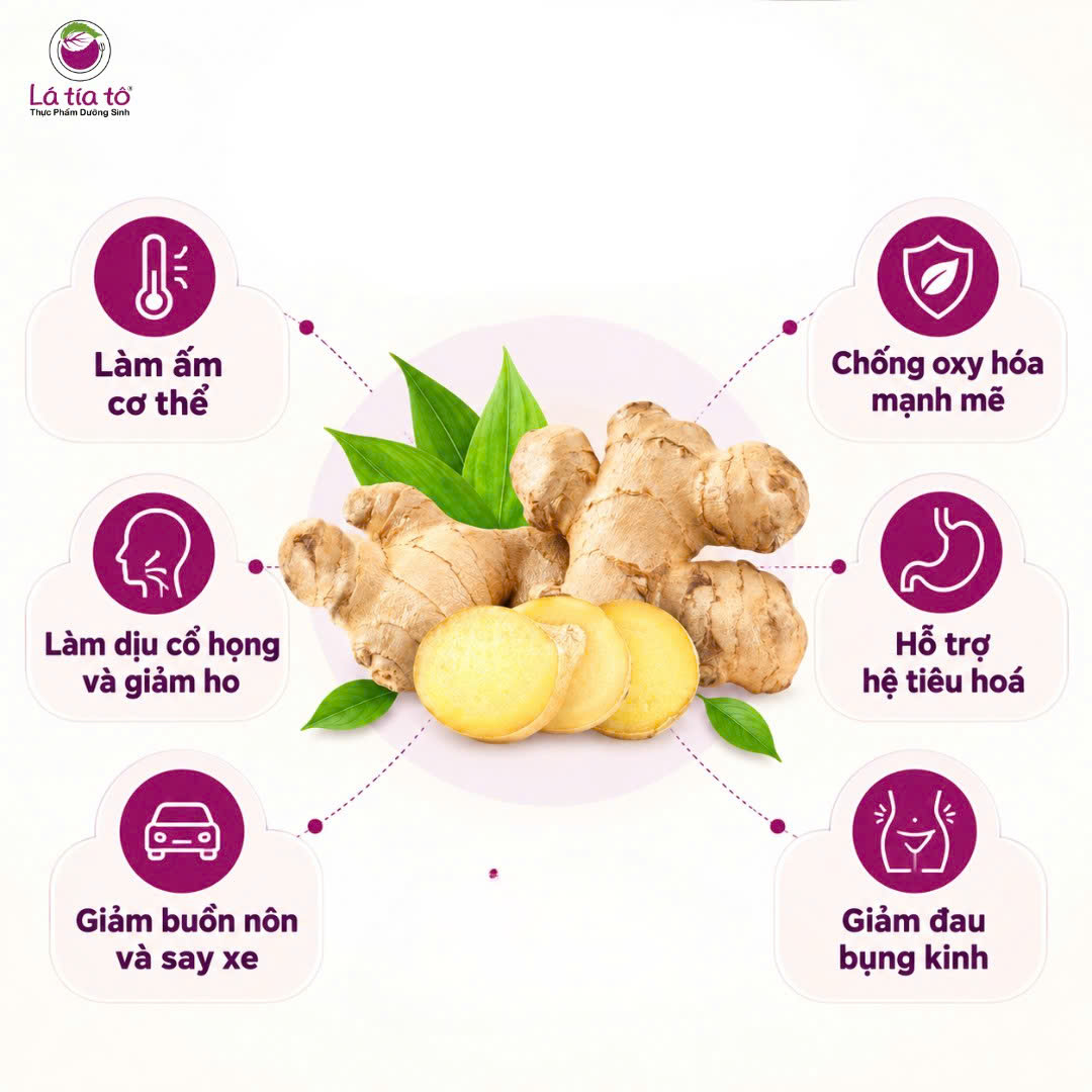 Những tác dụng của gừng tươi với sức khoẻ.