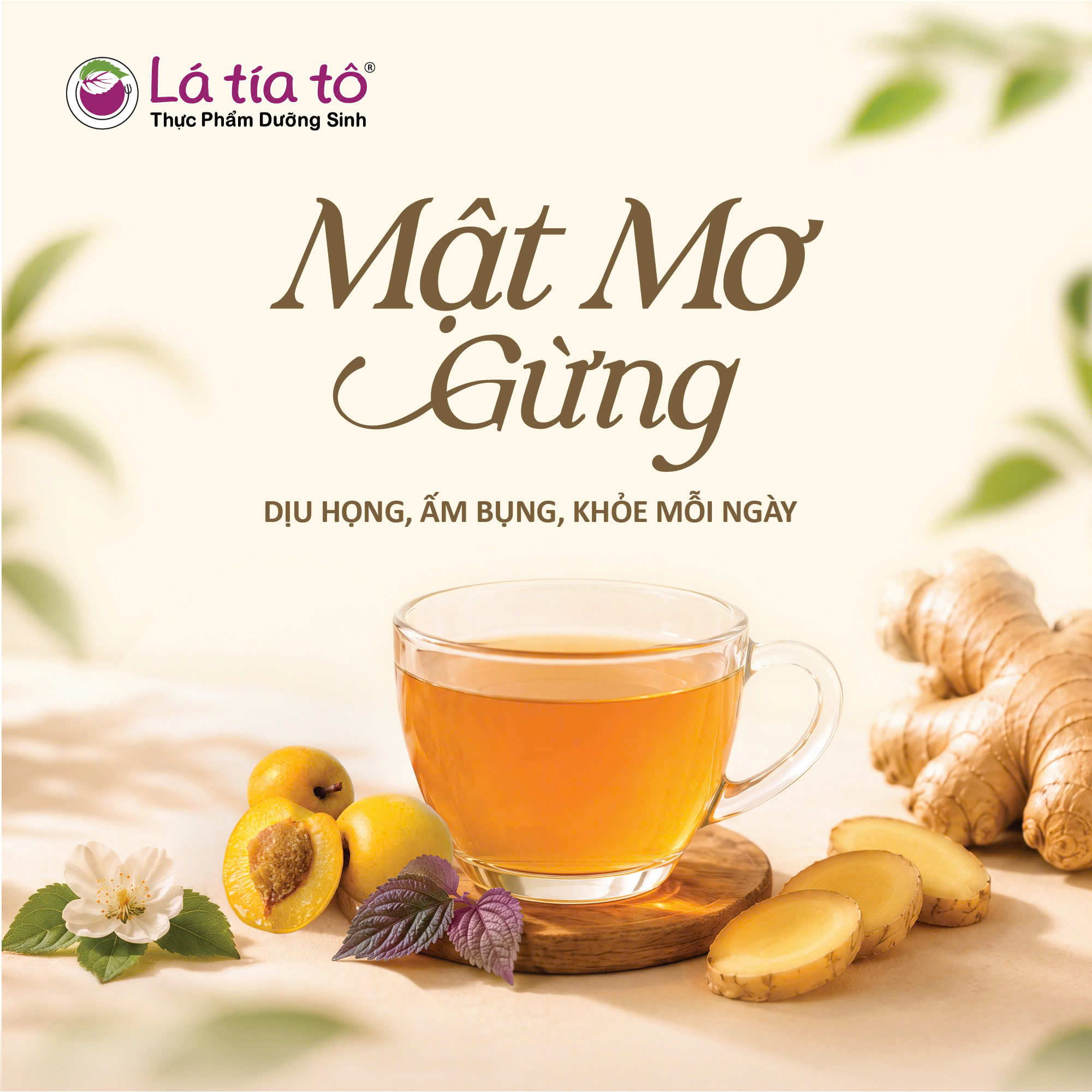 Gừng tươi kết hợp cùng quả mơ, mật dừa hữu cơ, tía tô, tinh bột nghệ, chanh, củ sen, muối biển và đường mía hữu cơ tạo nên thức uống giúp giảm ho.