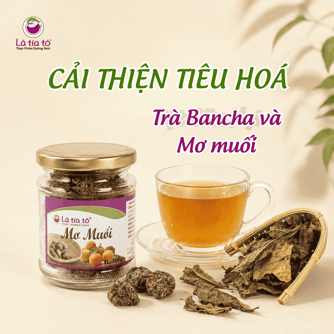 trà bancha và mơ muối, trà thực dưỡng cải thiện tiêu hoá.