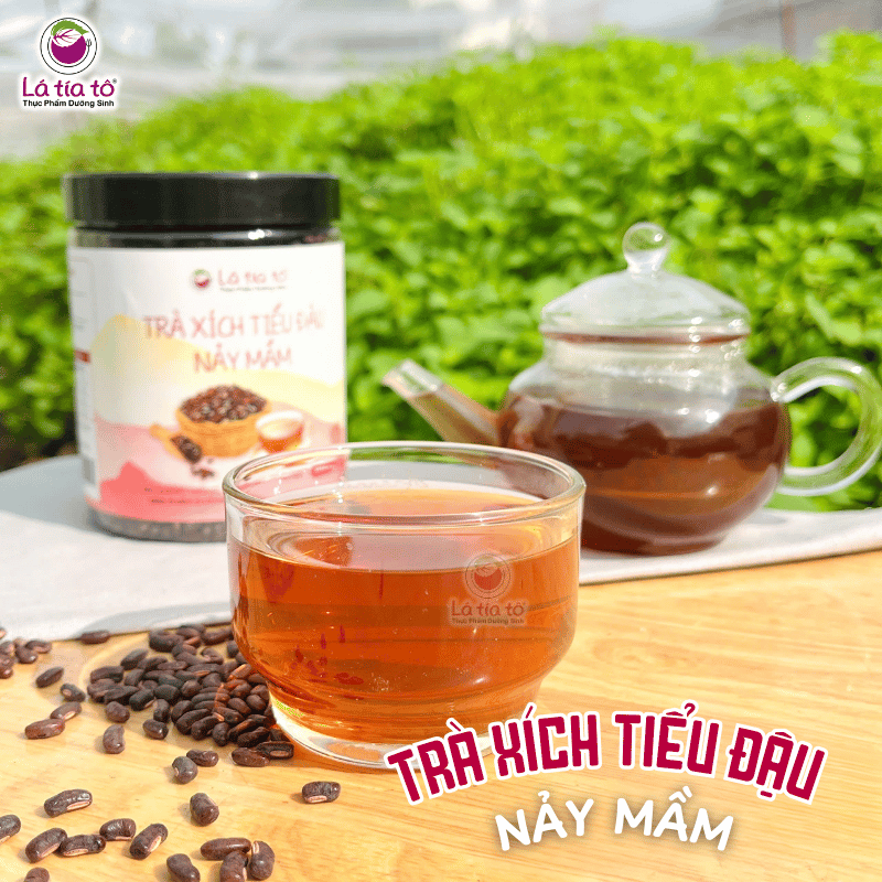 Trà xích tiểu đậu nảy mầm giúp thanh nhiệt và hỗ trợ giải độc tự nhiên.