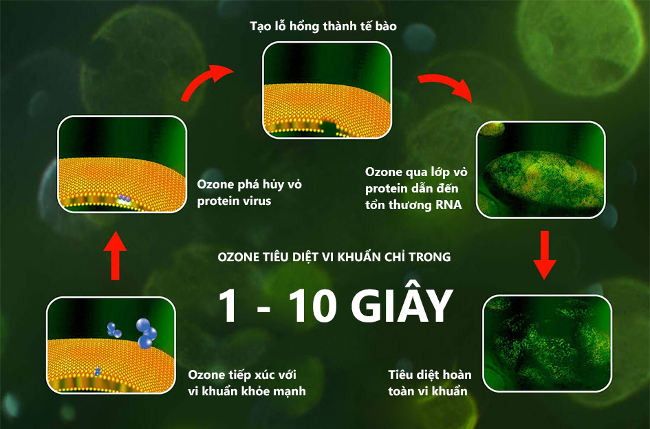 VÌ SAO NÊN KHỬ KHUẨN NÔI THẤT Ô TÔ THƯỜNG XUYÊN?