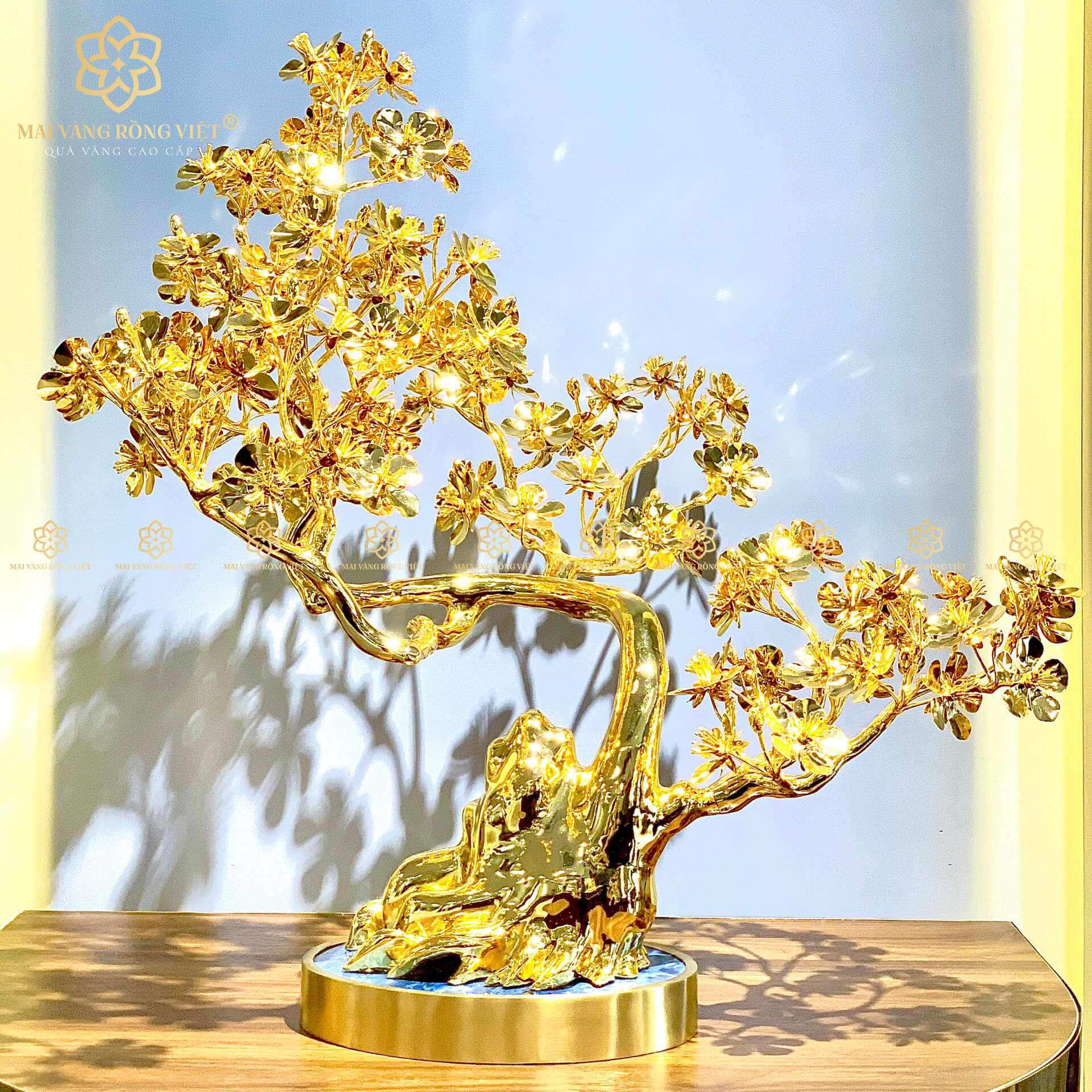 Cây mai mạ vàng ròng HOT nhất 2025 - Mai Vàng Rồng Việt