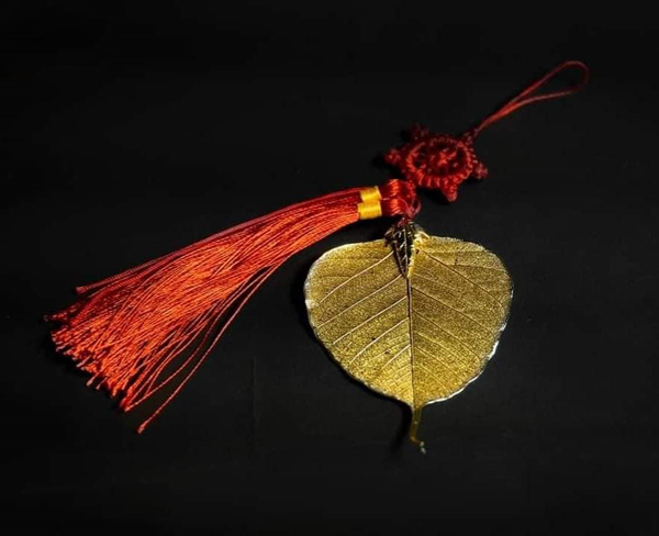 Bỏ túi 3 kinh nghiệm chọn mua lá bồ đề vàng