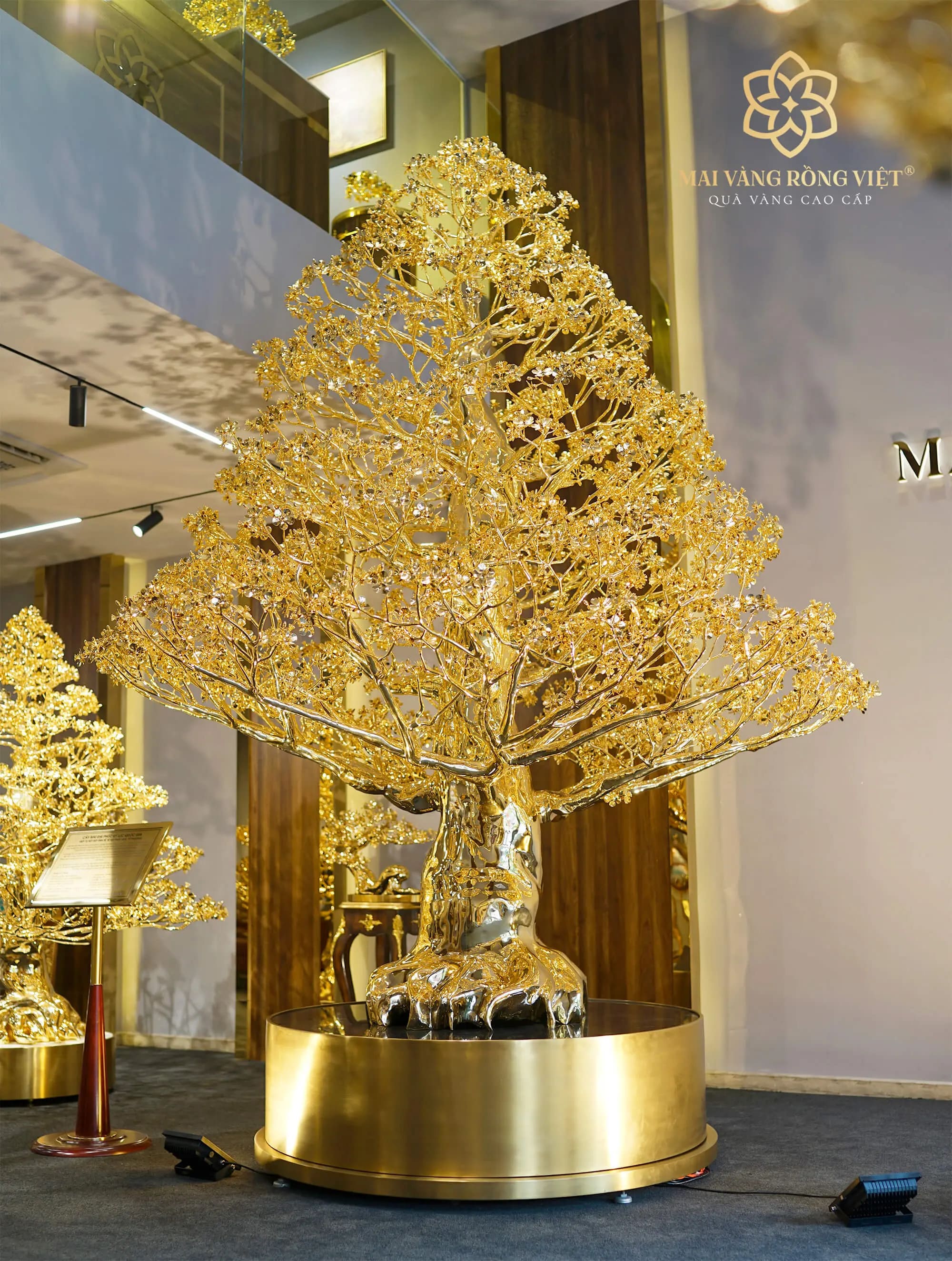 Cây Mai Đại Phúc Mạ Vàng 24K Cao 3 Mét