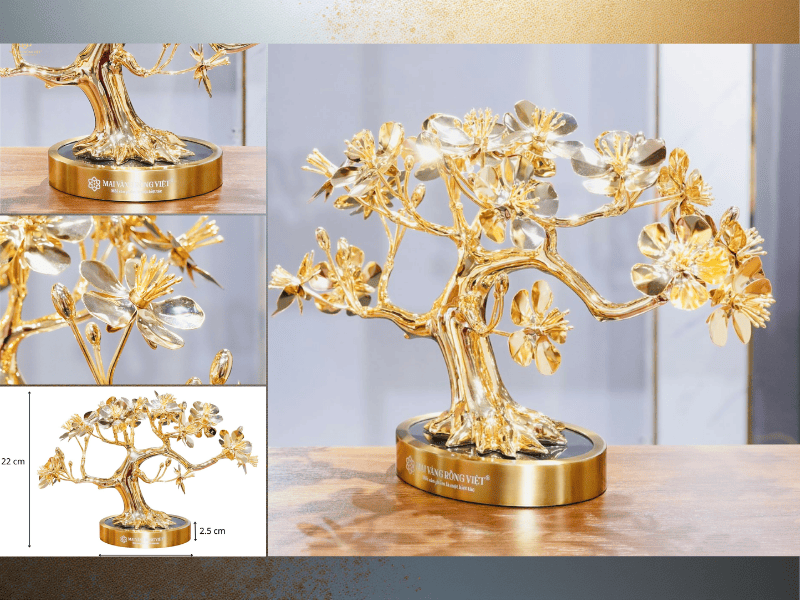 Cây mai mạ vàng là một di sản của Mai Vàng Rồng Việt