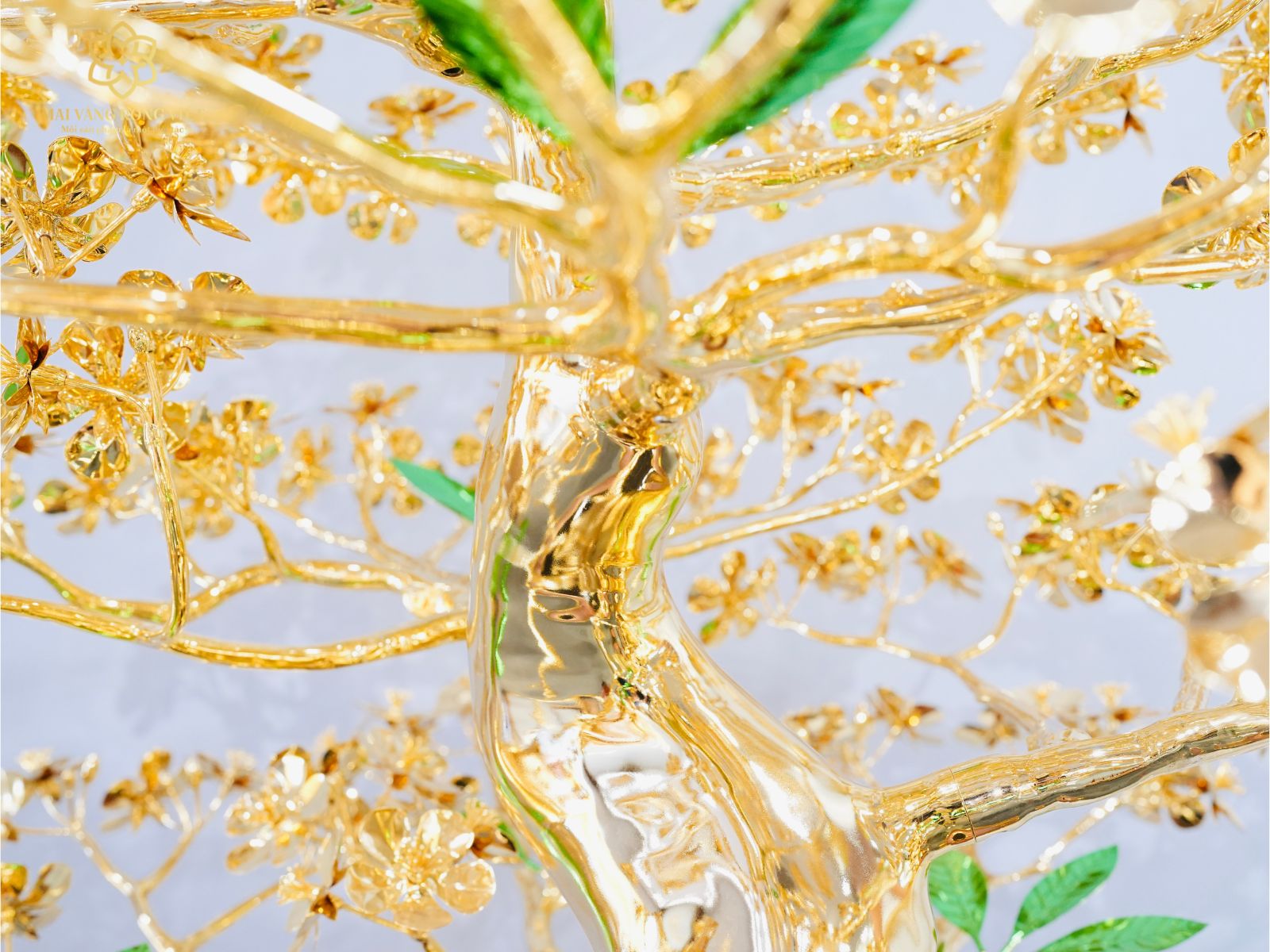 Tán cây Mai Đại Phúc mạ vàng 24K cao 1m