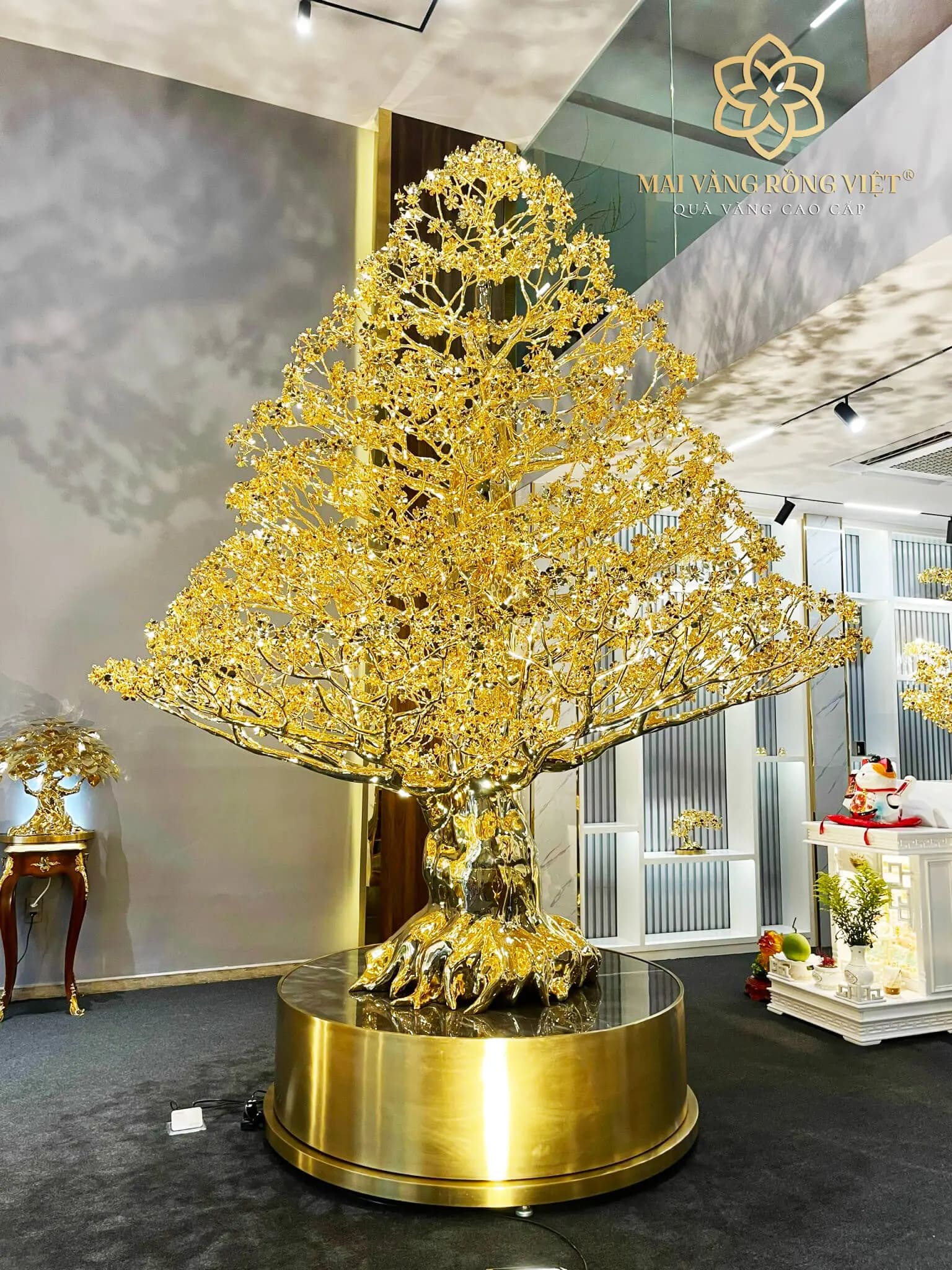 Dáng Trực của cây Mai Đại Phúc mạ vàng 24K cao 3 Mét