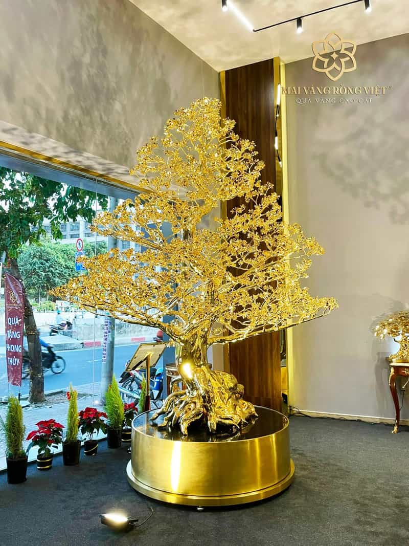Cây mai thích hợp làm quà tặng cho các dịp trọng đại