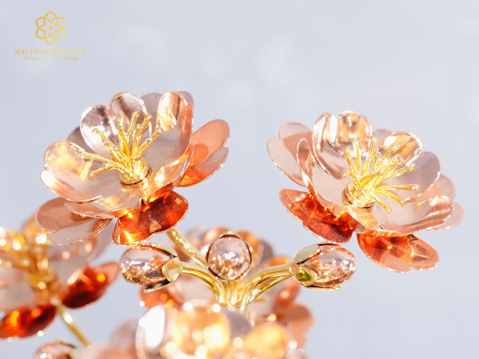 Nhụy hoa mạ vàng 24k, hoa nở xen kẽ cùng nụ