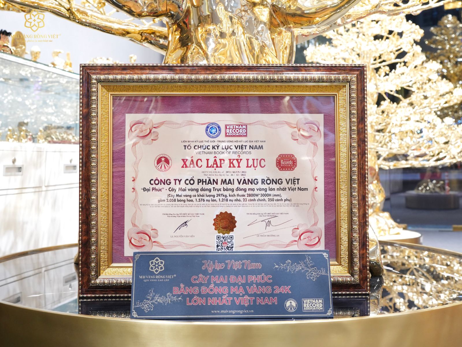 Kỷ lục "Đại Phúc" Cây Mai Vàng Dáng Trực bằng đồng mạ vàng lớn nhất Việt Nam
