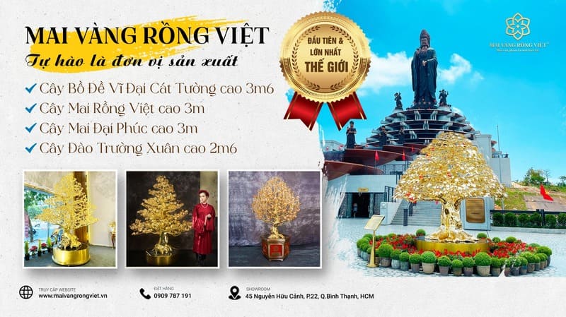 Mai Vàng Rồng Việt - Công ty chuyên cung cấp dịch vụ quà tặng doanh nghiệp HCM uy tín, chất lượng