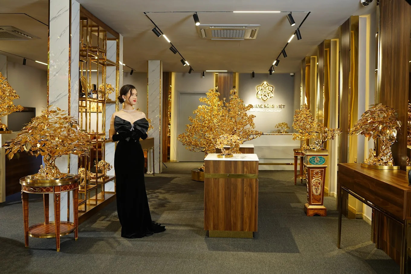 Showroom Mai Vàng Rồng Việt