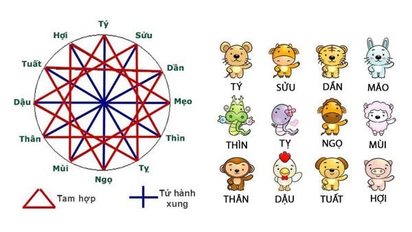 Tam hợp hay Lục hợp tốt hơn? Khám phá sự tương hợp trong 12 con giáp