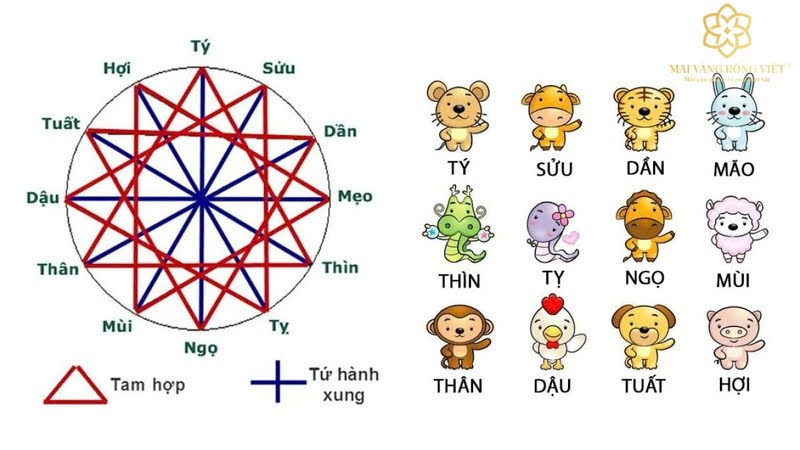 Tứ Hành Xung chỉ mang tính tham khảo