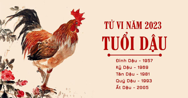 tử vi tuổi Dậu năm 2023