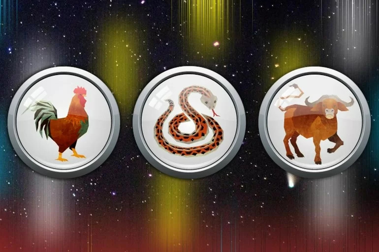 Con Gì Hợp Với Con Gà? Khám Phá Bí Quyết Phong Thủy Tài Lộc