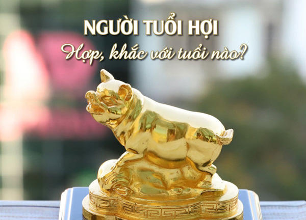 tuổi Hợi hợp với tuổi nào
