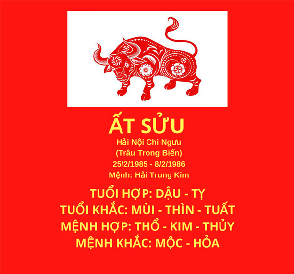 Ất Sửu 1985 hợp với tuổi nào? Khám phá tuổi hợp trong làm ăn và hôn nhân