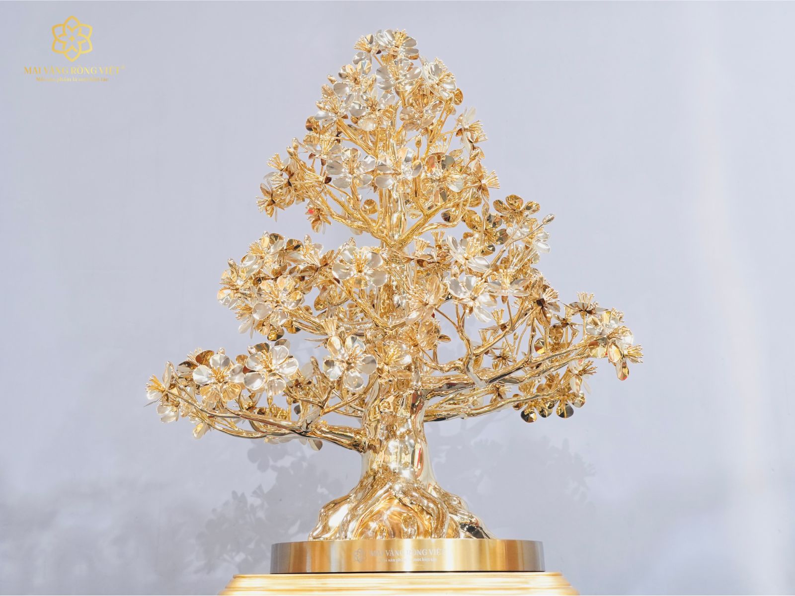 Cây Mai Đại Phúc mạ vàng 24K