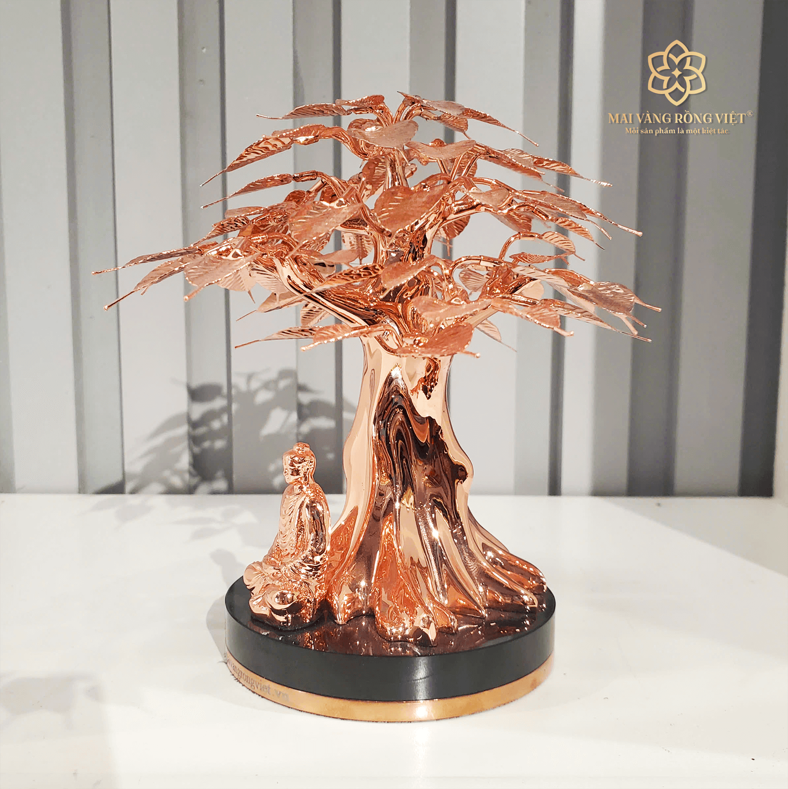 Cây Bồ Đề Bình An cao 12cm - Full Rose