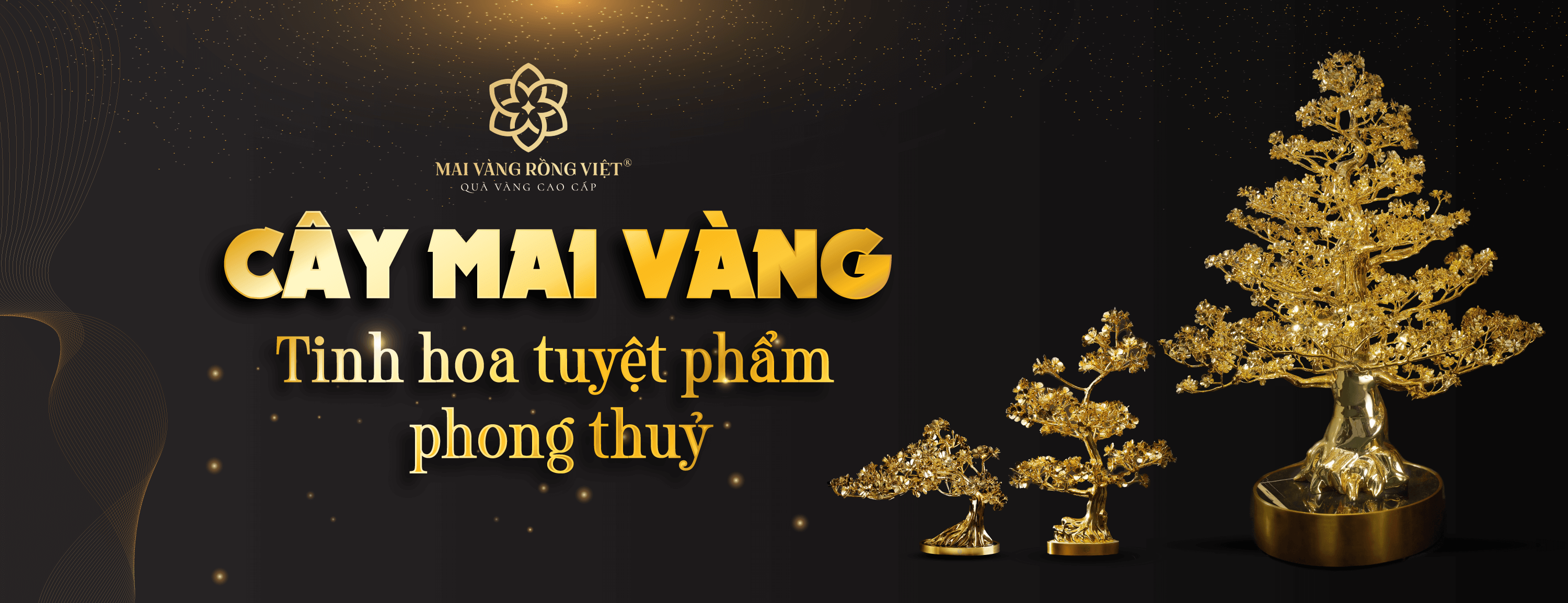 Mai Vàng Rồng Việt