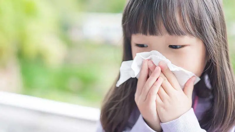 CÁC BỆNH THƯỜNG GẶP MÙA THU ĐÔNG VÀ CÁCH PHÒNG TRÁNH