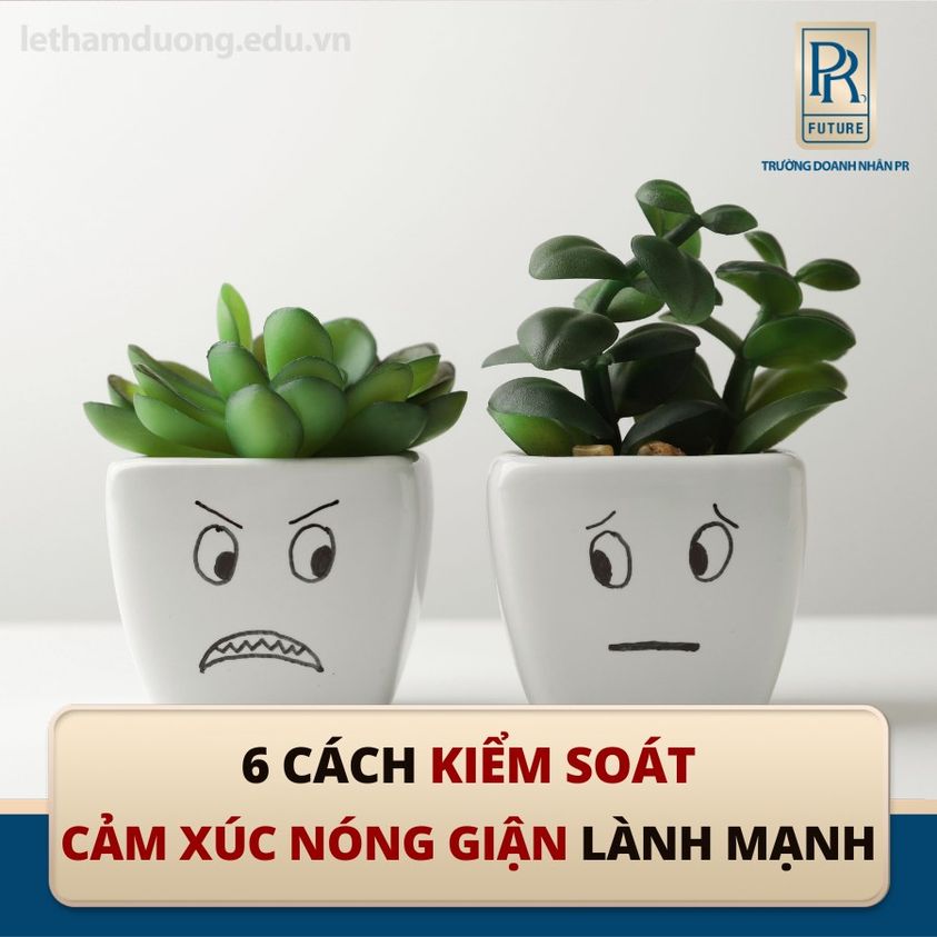 6 CÁCH KIỂM SOÁT CẢM XÚC NÓNG GIẬN LÀNH MẠNH