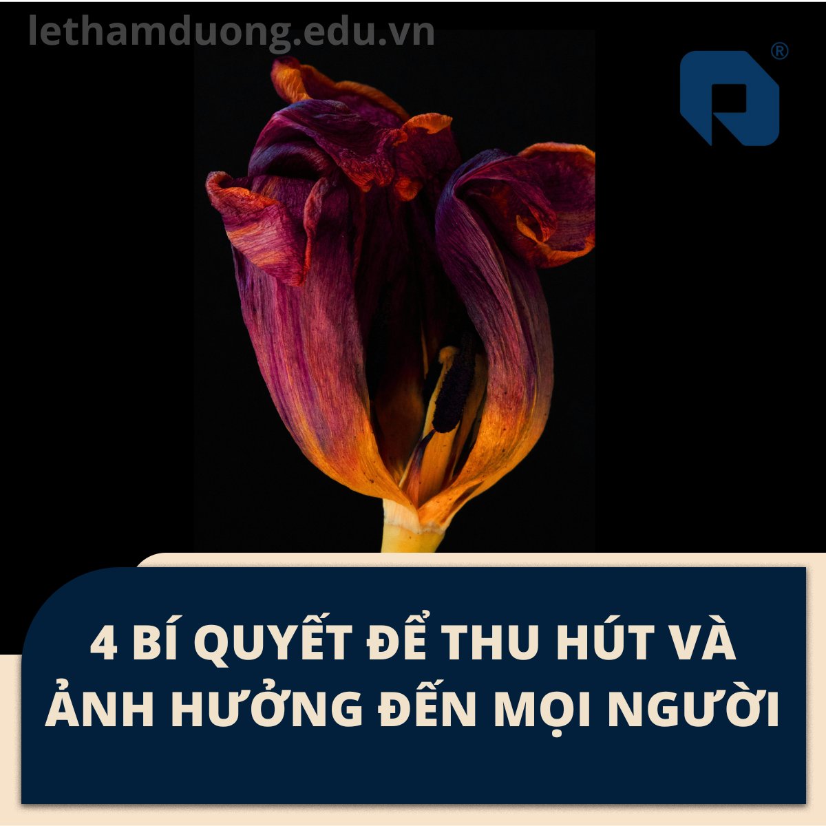 4 BÍ QUYẾT ĐỂ THU HÚT VÀ ẢNH HƯỞNG ĐẾN MỌI NGƯỜI