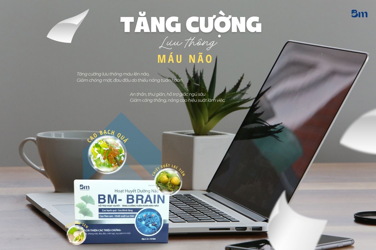 Tăng cường lưu thông máu não: Giải phóng tiềm năng, bùng nổ trí tuệ!