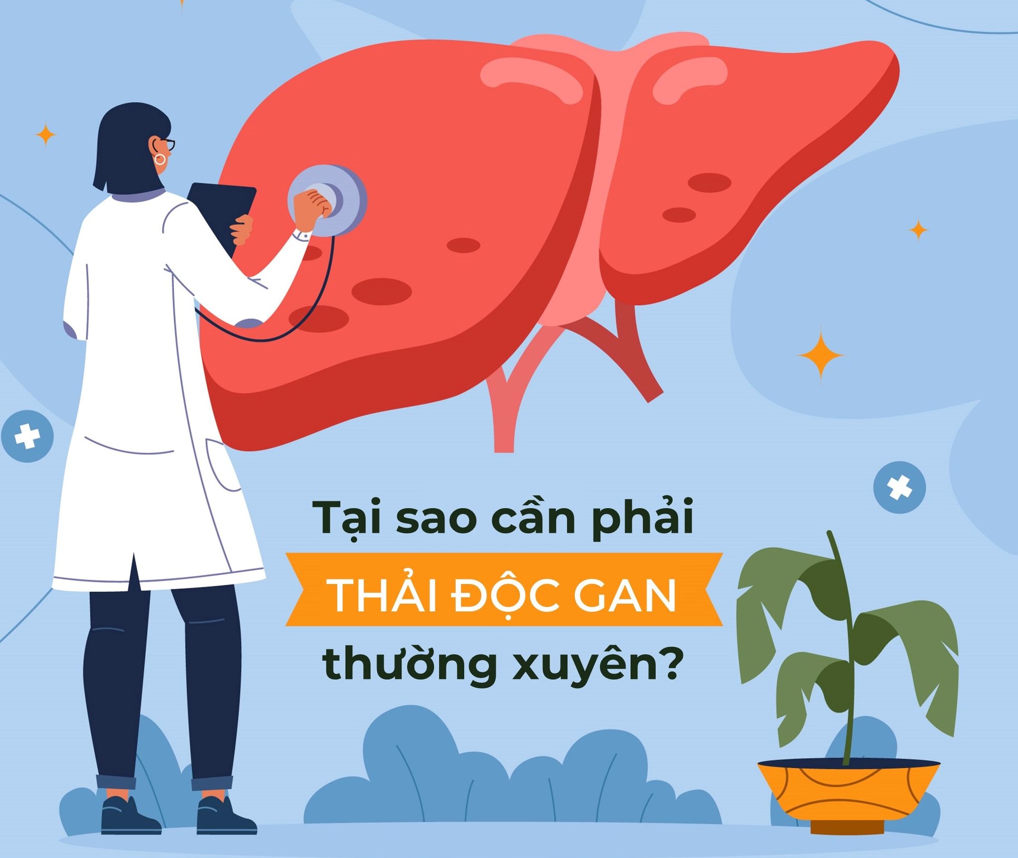 TẠI SAO CẦN THẢI ĐỘC GAN THƯỜNG XUYÊN?