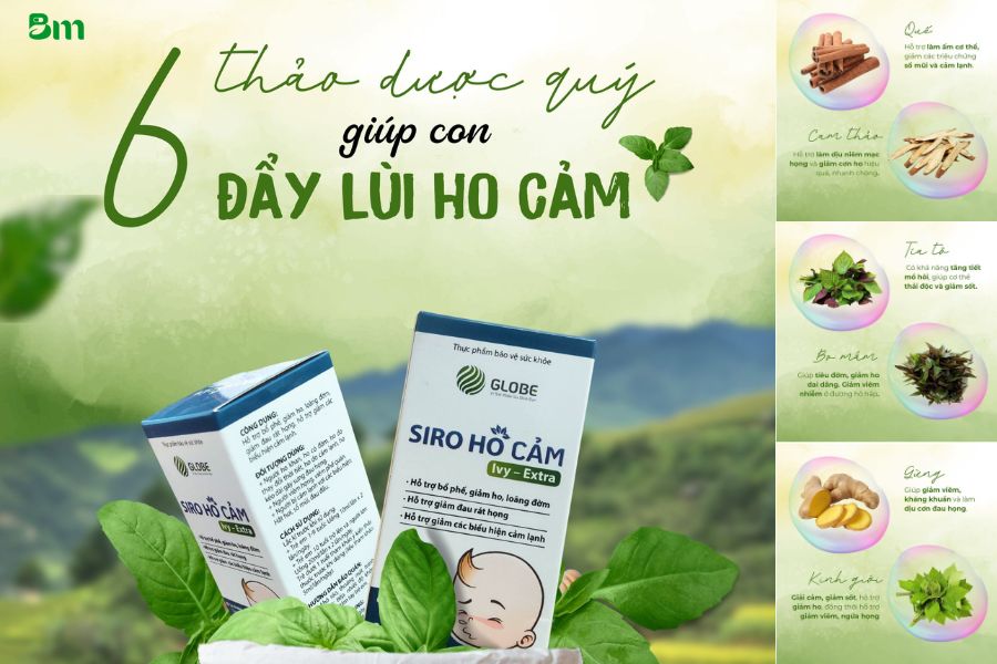 Gọi tên 6+ loại thảo dược trị ho hiệu quả, dễ tìm, an toàn