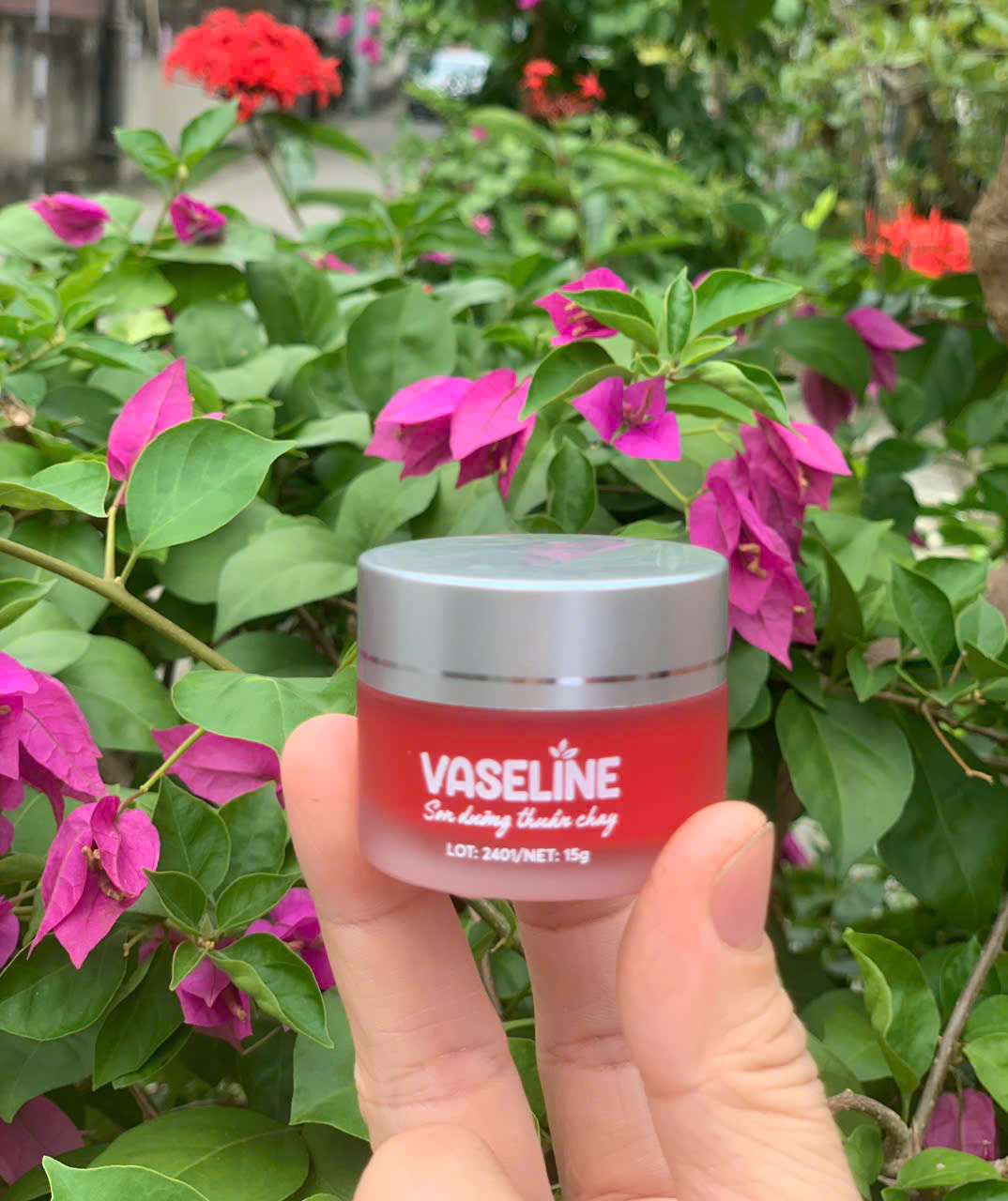 Son dưỡng thuần chay Vaseline