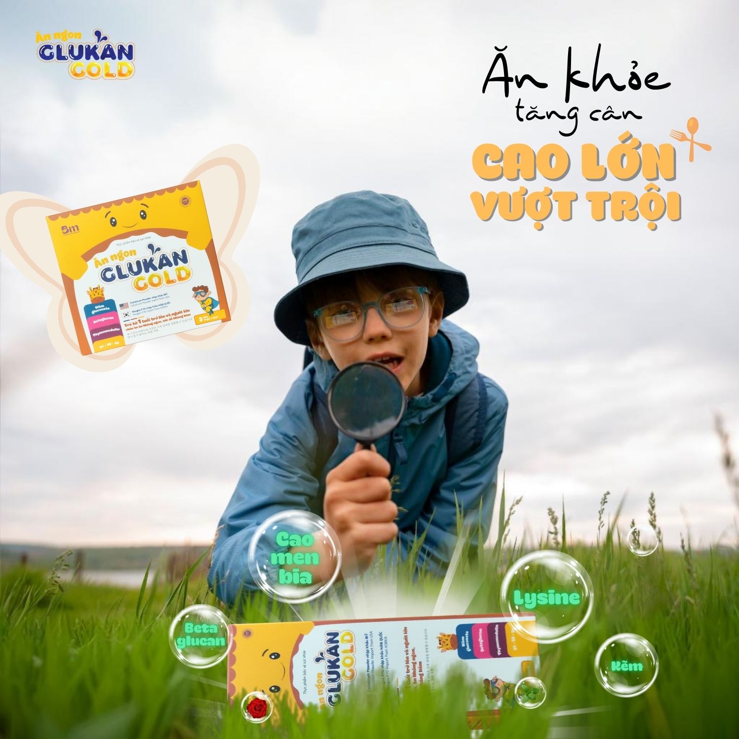 Glukan Gold có hiệu quả trong việc tăng sức đề kháng