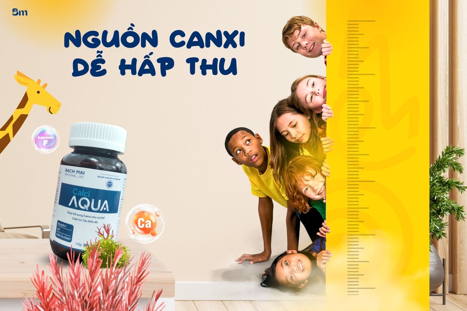  Bạn muốn tìm kiếm nguồn canxi dễ hấp thụ để tăng cường sức khỏe