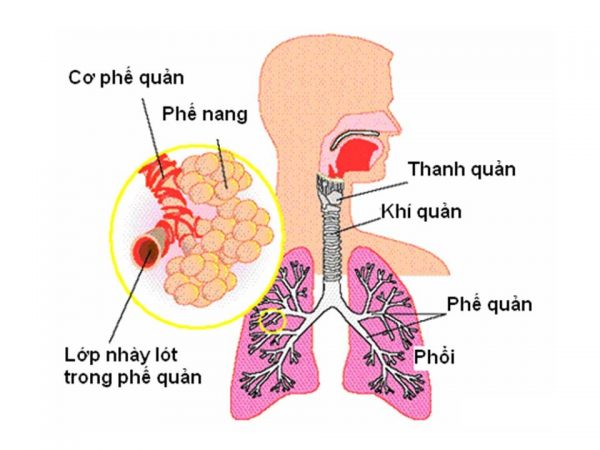tre-em-bi-dau-hong-2