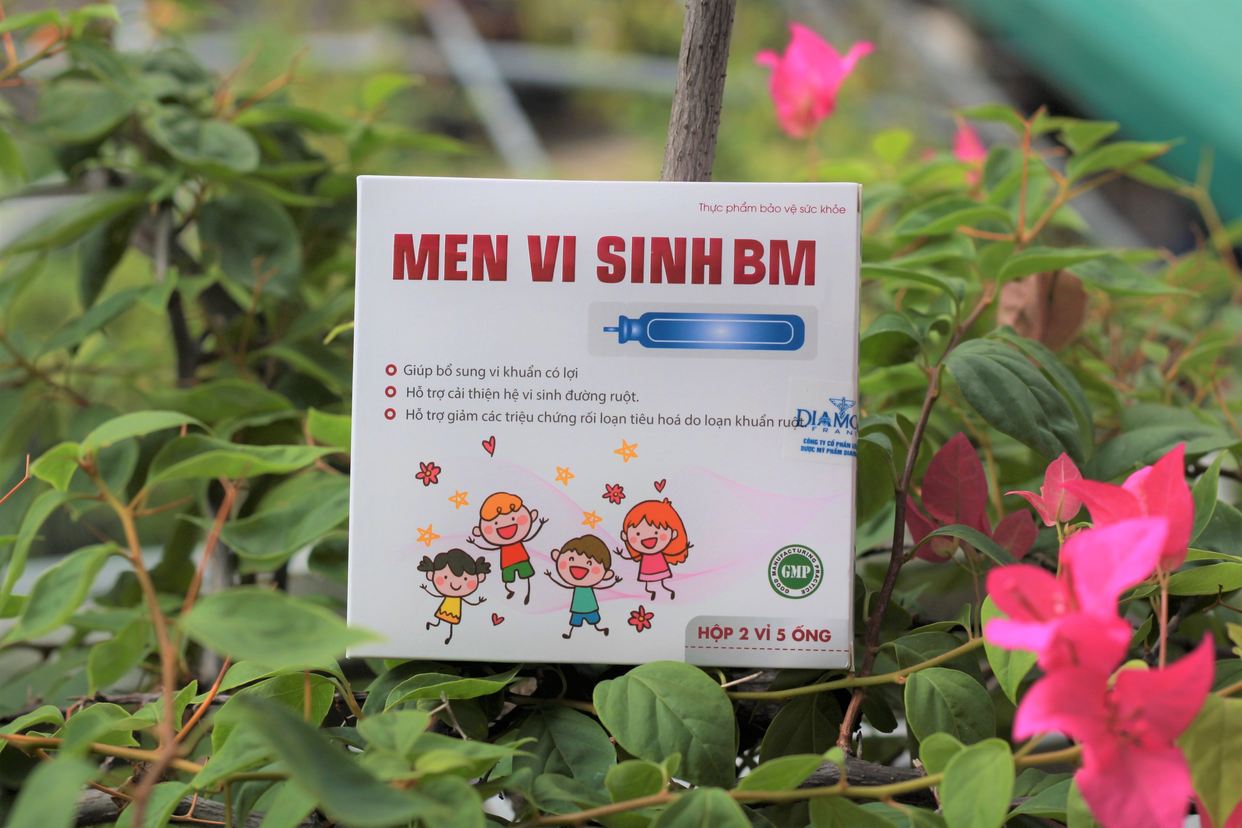 Men vi sinh BM giảm các triệu chứng rối loại tiêu hóa Dược Bạch Mai