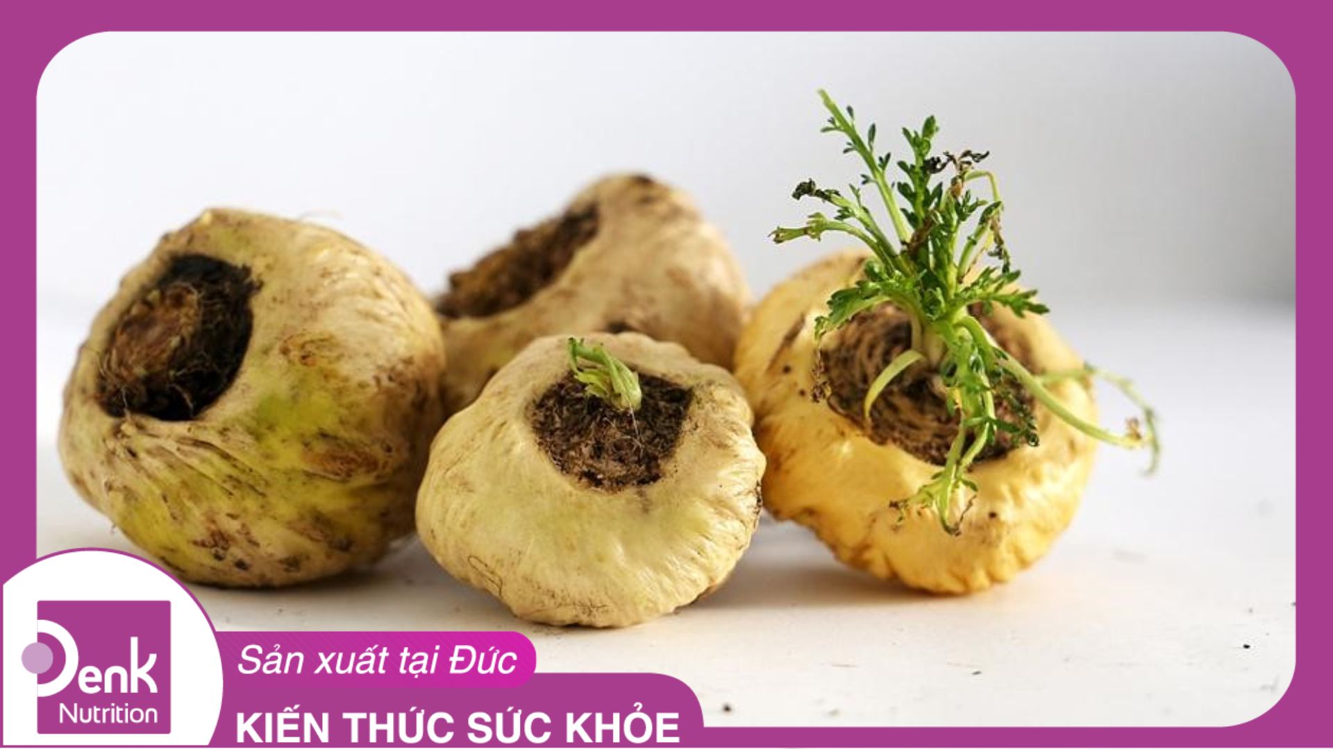 Sâm maca - Lợi ích sức khỏe và lưu ý khi sử dụng