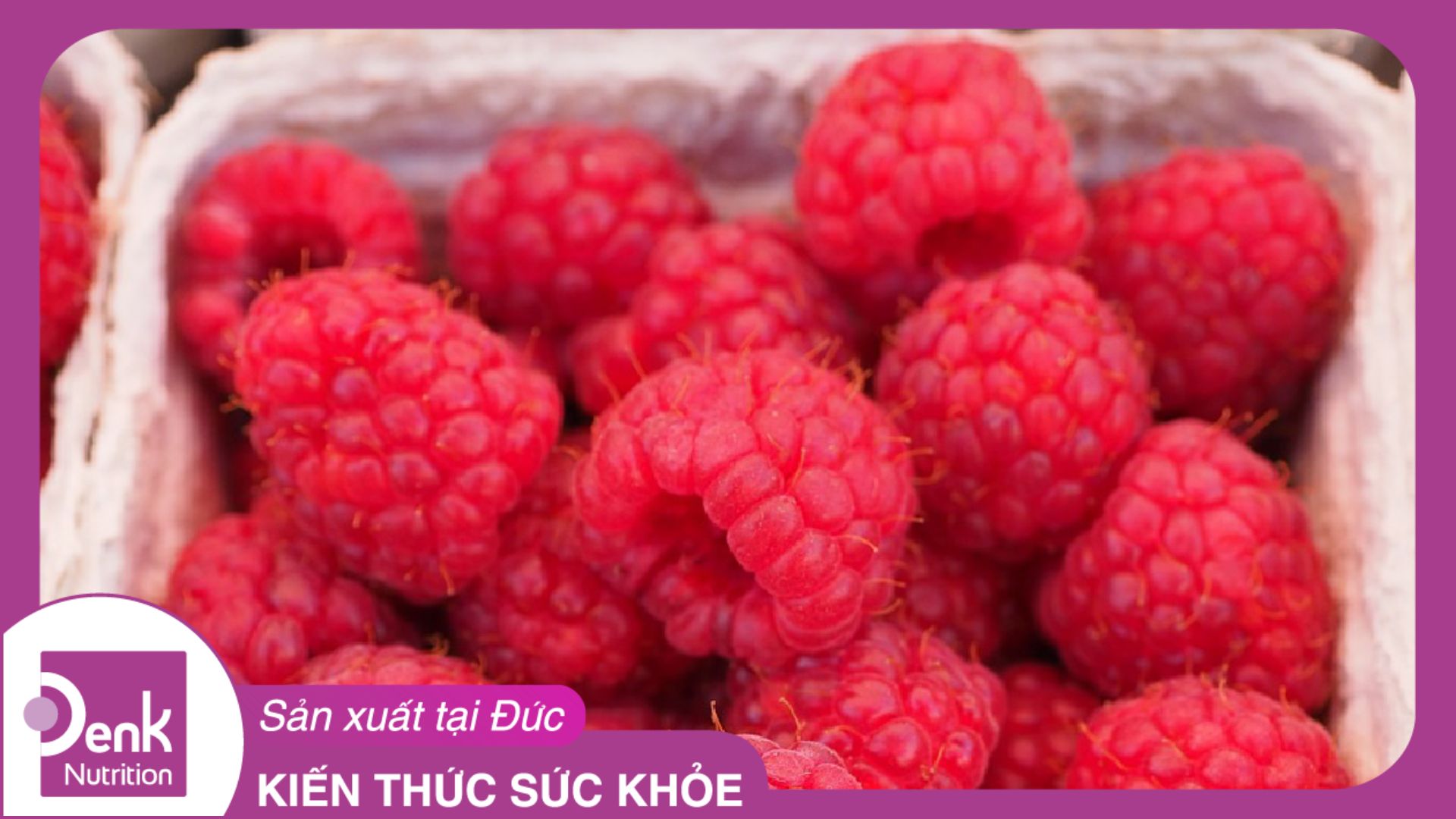 TĂNG ĐỀ KHÁNG – ĐÓN NĂM MỚI