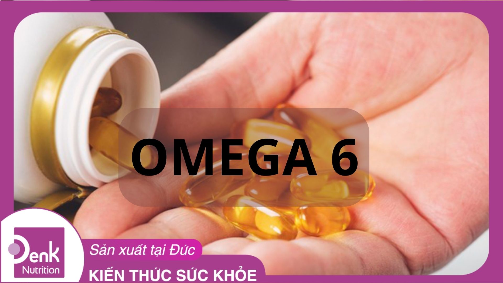Omega 6 là gì? Omega 6 có những tác dụng gì?