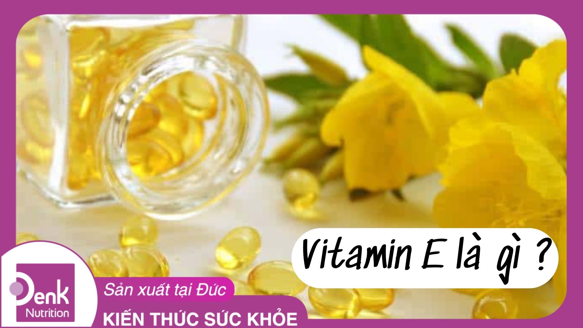 Vitamin E là gì? Vitamin E có tác dụng gì?